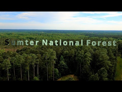 Sumter National Forest by FPV